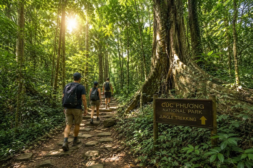 Picture 1 for Activity Cuc Phuong National Park: Jungle Hike & Wildlife Day Trip 1