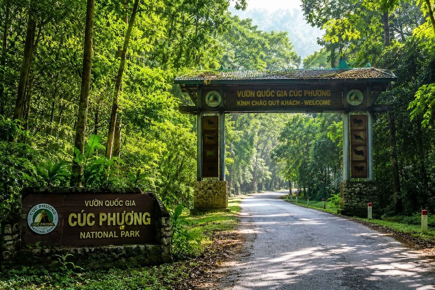 Picture 2 for Activity Cuc Phuong National Park: Jungle Hike & Wildlife Day Trip 3