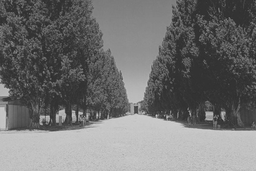 A tree-lined street with buildings on either side. 2