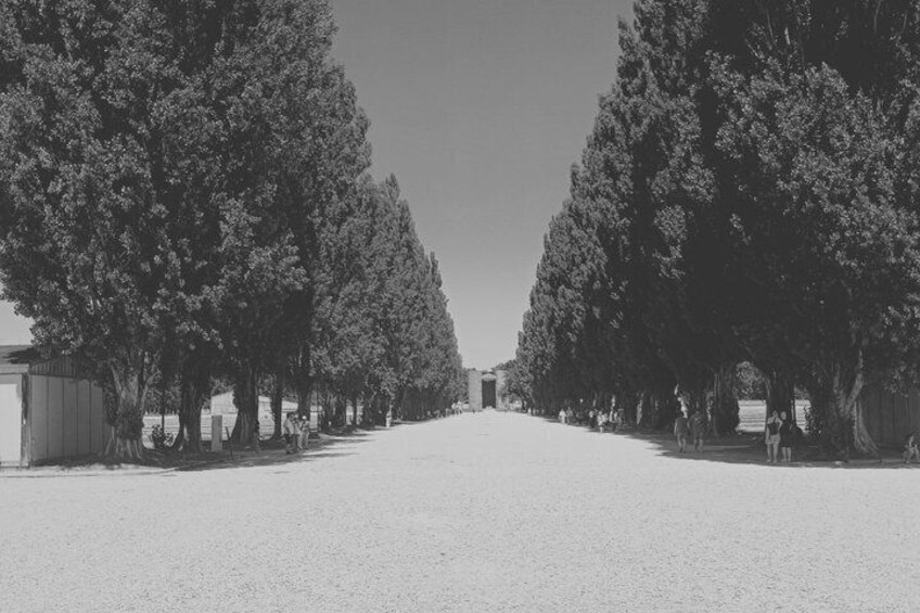 Dachau Concentration Camp Guided History Tour 5