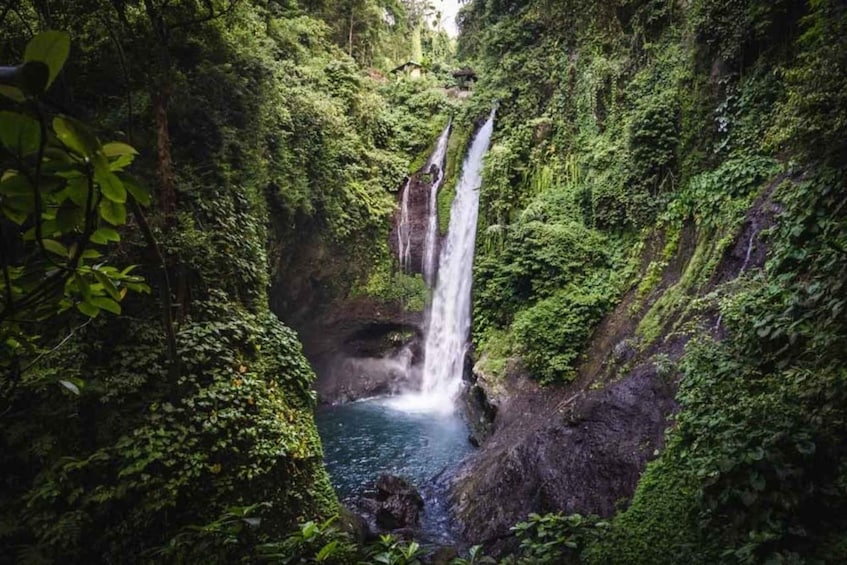Picture 6 for Activity Bali: Sunrise Dolphin Lovina, Waterfall & Beratan Temple 4