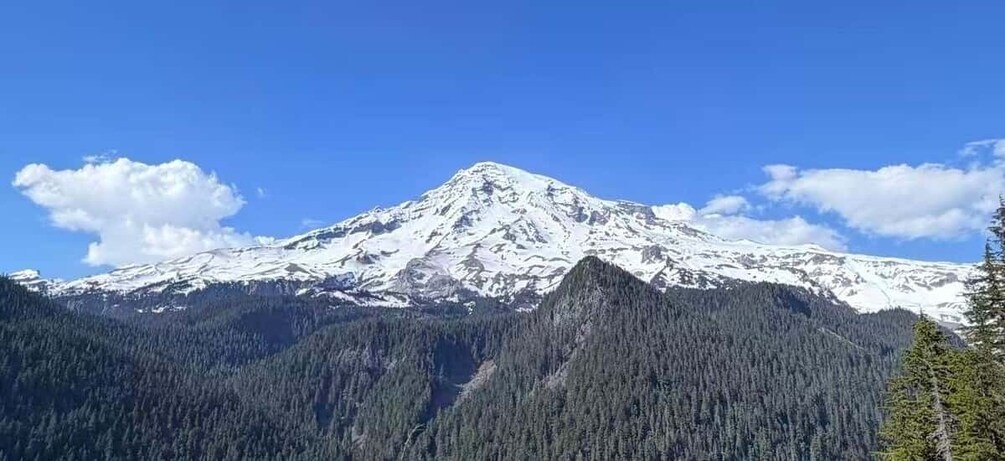 A snow-capped mountain with dense forested valleys. 2