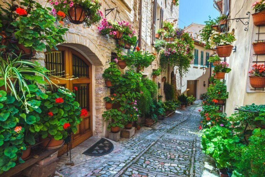 Spello : guided tour through flowery alleys and Renaissance art 2