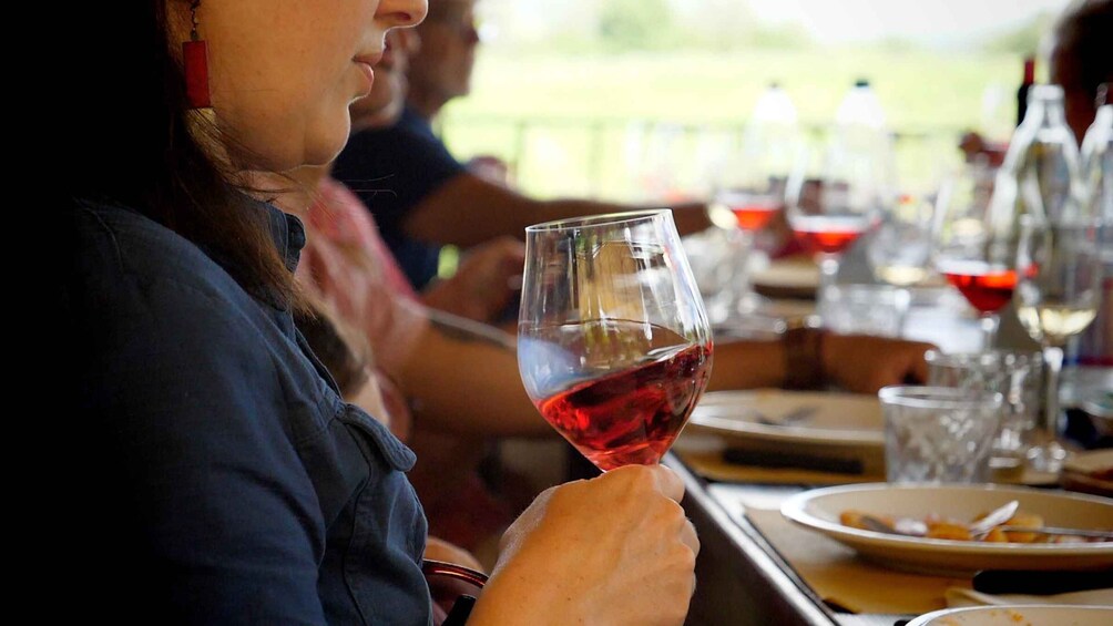 Winemaking discovery near San Gimignano 1