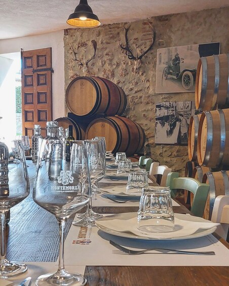 Picture 2 for Activity Winemaking discovery near San Gimignano 4