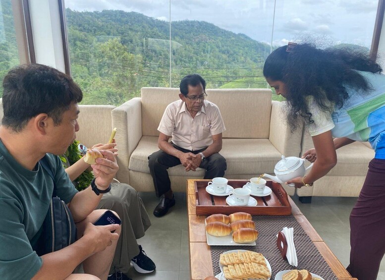 Picture 4 for Activity Deniyaya: Memorial Tea Plantation Tour & Tasting 2