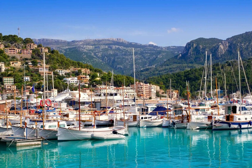 Picture 3 for Activity Mallorca: Train and tram from Palma to Sóller and Port de Sóller in the afternoon 5