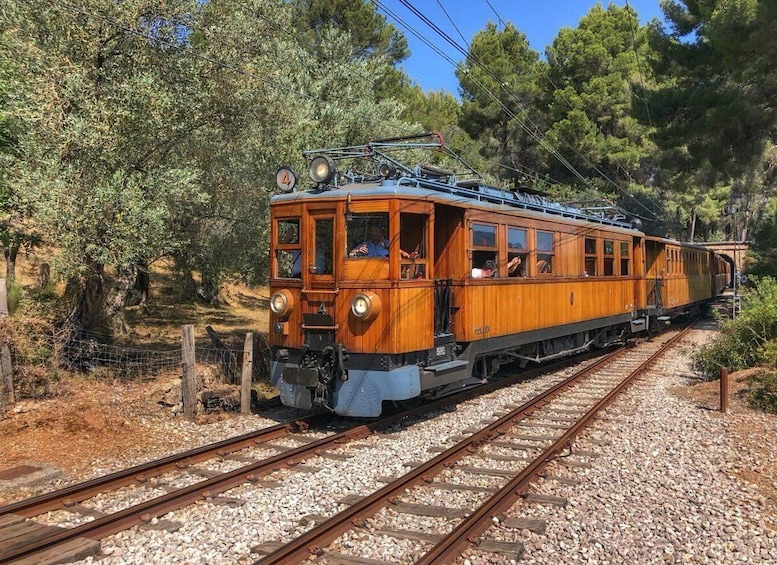 A vintage wooden tram on railway tracks surrounded by trees. 3
