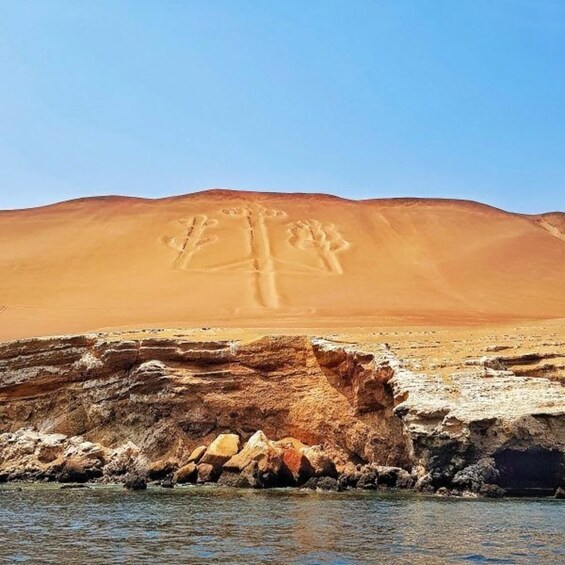 Full Sightseeing Tour: Ballestas, San Gallán, and Isla Blanca from Paracas 1