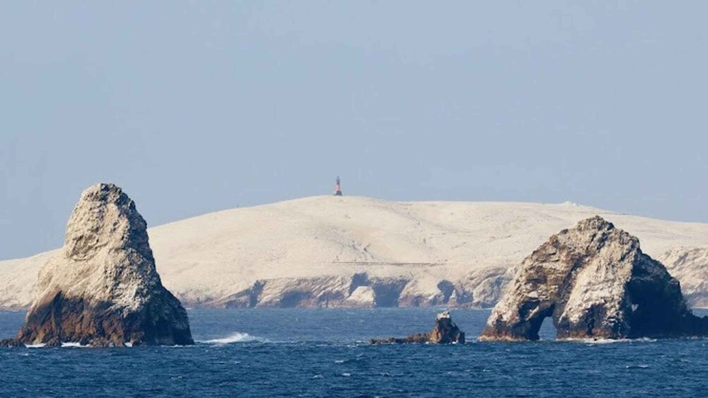 Picture 6 for Activity Full Sightseeing Tour: Ballestas, San Gallán, and Isla Blanca from Paracas 4