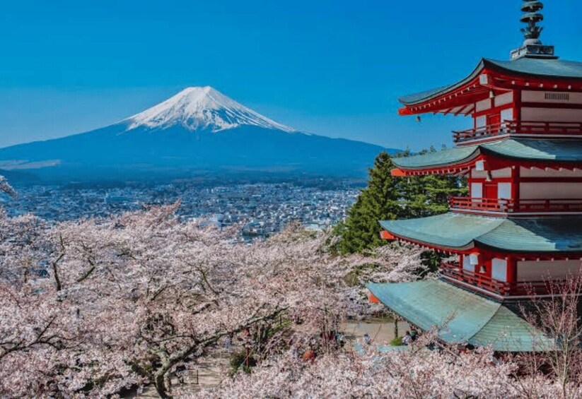A snow-capped mountain, cherry blossoms, and a traditional Japanese pagoda. 5