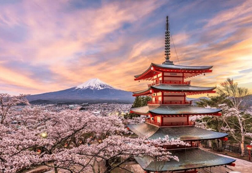 A traditional Japanese pagoda with a snow-capped mountain in the background. 4