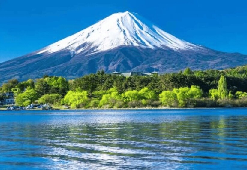 Picture 14 for Activity From Tokyo : Mount Fuji Full-Day Private Tour with Guide 3