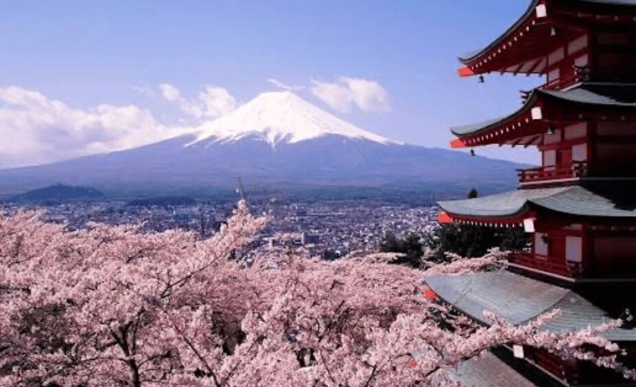 Picture 10 for Activity From Tokyo : Mount Fuji Full-Day Private Tour with Guide 2