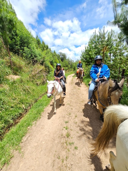 Picture 5 for Activity Bogota: Horseback Experience in the Andes 4
