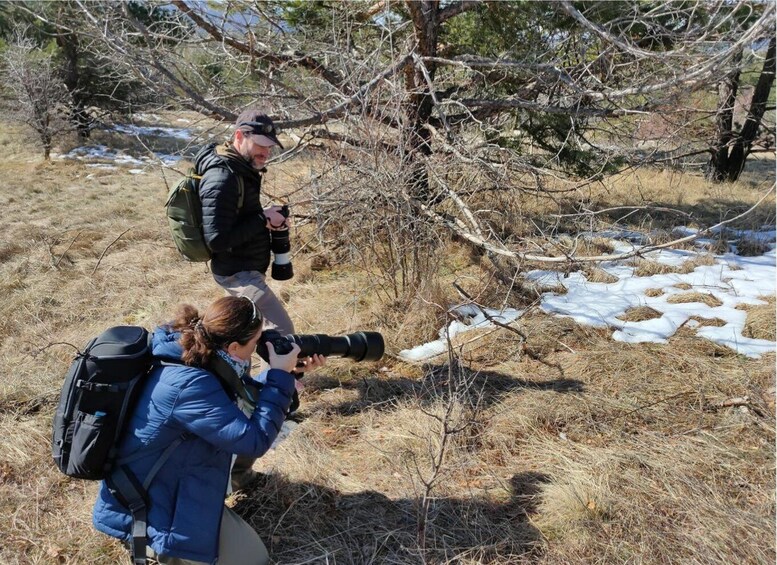 Picture 4 for Activity From Sofia: Wildlife Tracking & Search Science Expedition 4