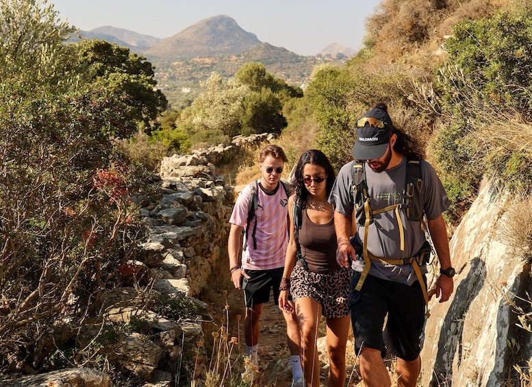 Picture 1 for Activity Naxos: Byzantine Churches & Olive Groves Hike 1