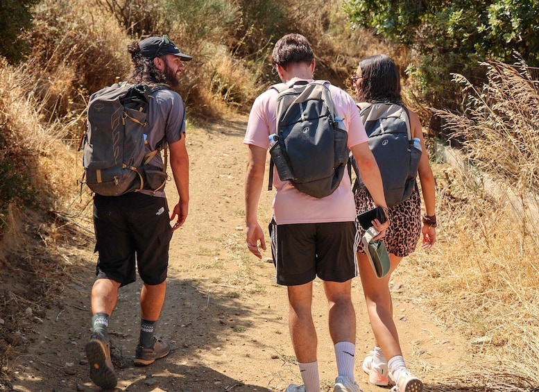 Picture 9 for Activity Naxos: Byzantine Churches & Olive Groves Hike 4