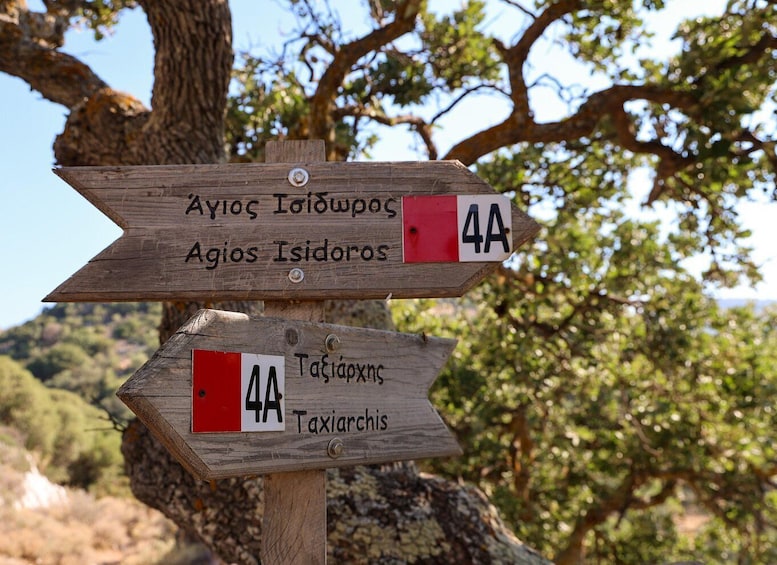 Picture 10 for Activity Naxos: Byzantine Churches & Olive Groves Hike 5