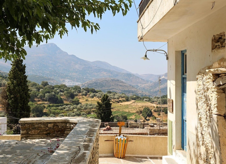 Picture 2 for Activity Naxos: Byzantine Churches & Olive Groves Hike 3