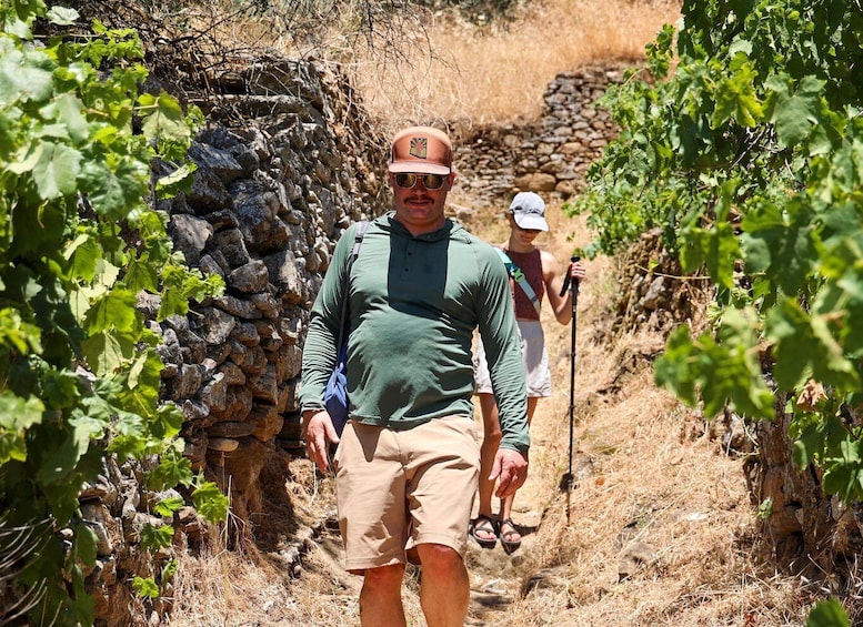Naxos: Halki Village Hike with Olive Oil Tasting 1