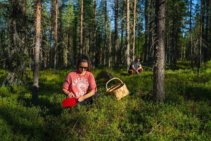 Tastes of the Arctic: Berry picking and Foraging Tour 1