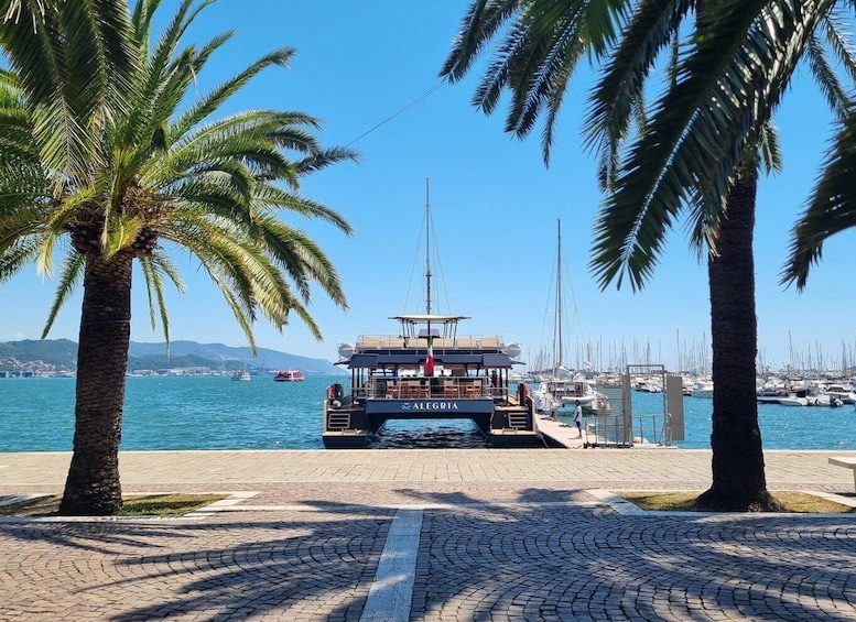 Picture 4 for Activity Sunset Experience by catamaran - The Poet's Gulf from the sea 5