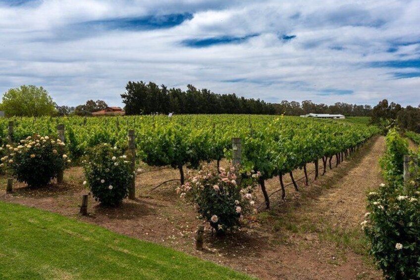 Margaret River Wineries Private Shore Tour Experience 2