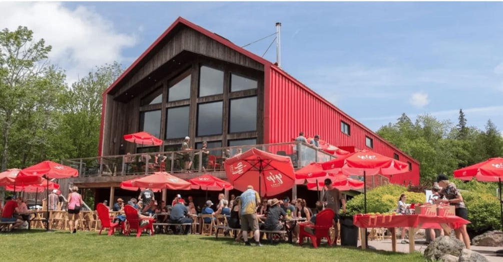 Picture 2 for Activity New Brunswick: Private Cider Tasting & Tour at Yip Cider 2