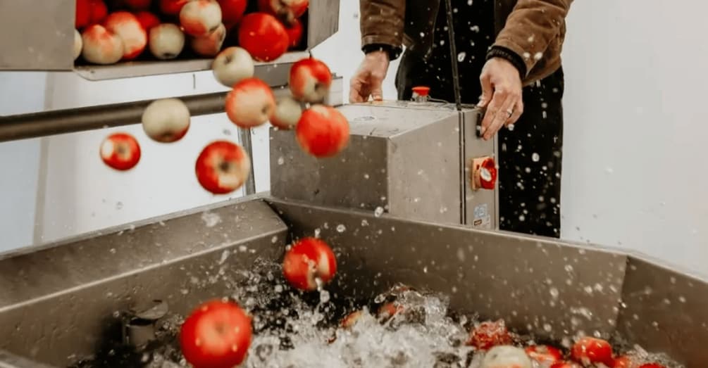 Picture 1 for Activity New Brunswick: Private Cider Tasting & Tour at Yip Cider 3