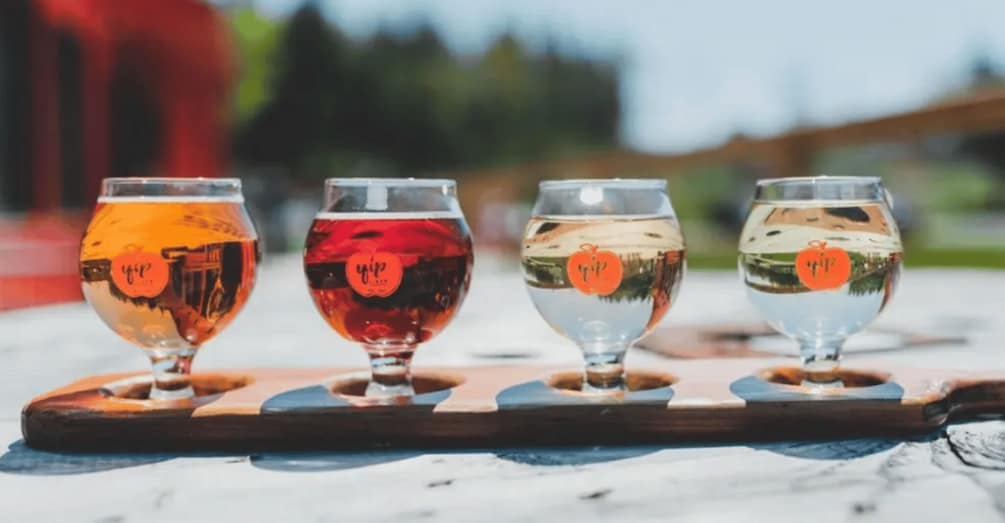 Picture 5 for Activity New Brunswick: Private Cider Tasting & Tour at Yip Cider 5