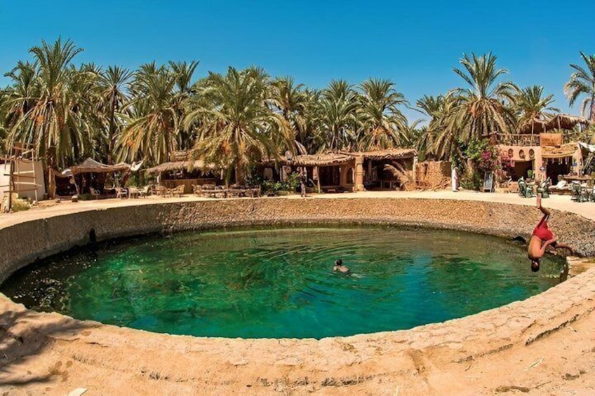 A swimming pool surrounded by palm trees and a sandy beach. 4
