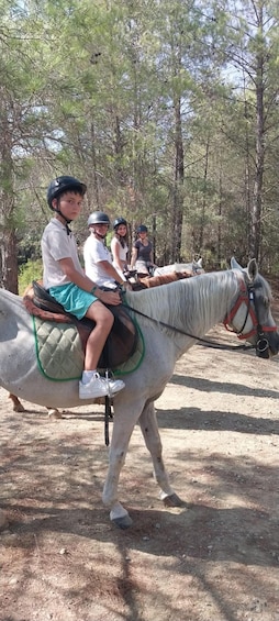 Picture 4 for Activity Kemer: Guided Horseback Riding Tour with Hotel Pickup 3