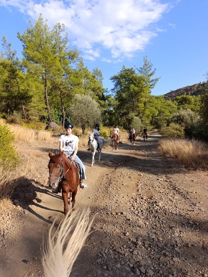 Kemer: Guided Horseback Riding Tour with Hotel Pickup 1