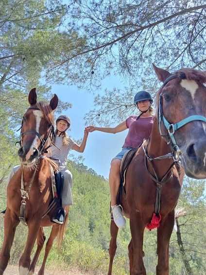Picture 3 for Activity Kemer: Guided Horseback Riding Tour with Hotel Pickup 2