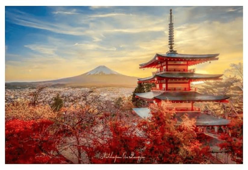 Picture 7 for Activity From Tokyo : Mount Fuji Full Day Private Sightseeing Tour 3