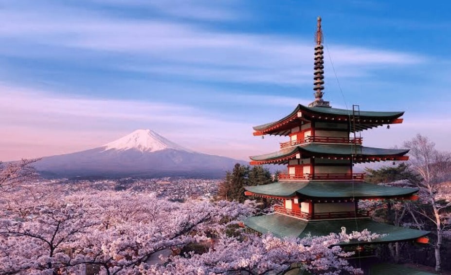 From Tokyo : Mount Fuji Full Day Private Sightseeing Tour 1