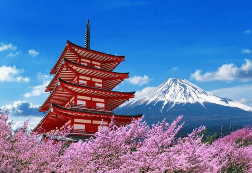 Picture 4 for Activity From Tokyo : Mount Fuji Full Day Private Sightseeing Tour 4