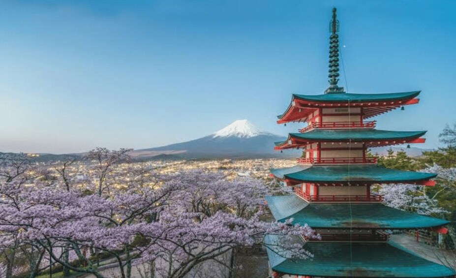 Picture 1 for Activity From Tokyo : Mount Fuji Full Day Private Sightseeing Tour 1