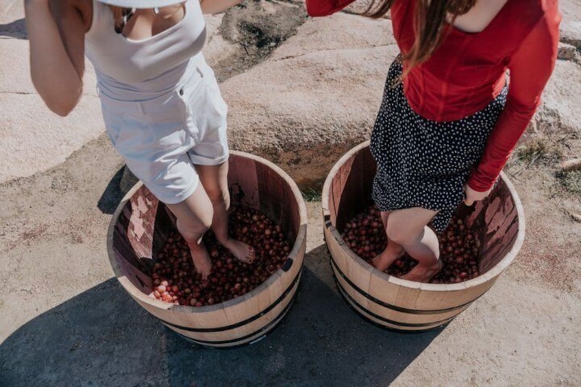Grape Steps in Valle de Guadalupe with Wine Tasting 3