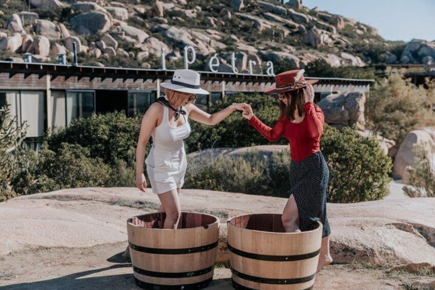 Grape Steps in Valle de Guadalupe with Wine Tasting 1