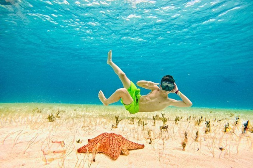 A person snorkeling underwater with a starfish on the sandy ocean floor. 1