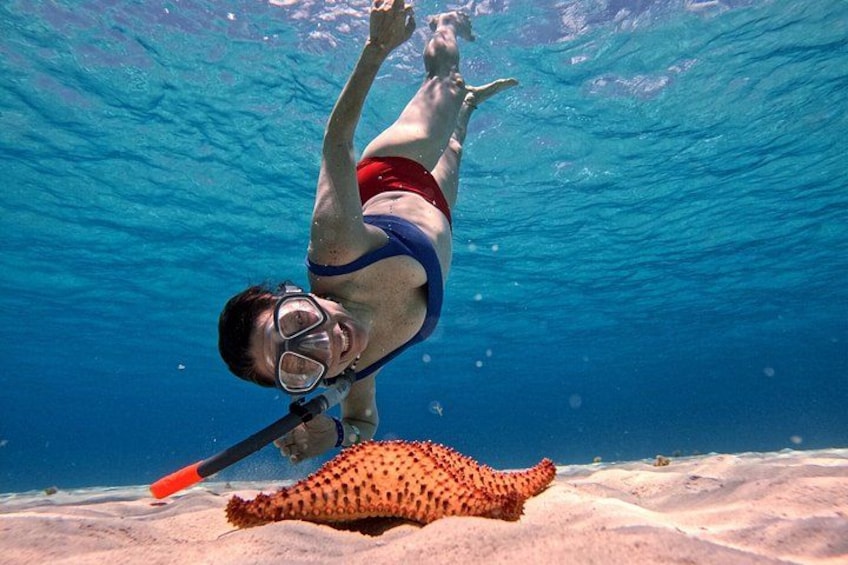 A person snorkeling underwater with a sea turtle. 5