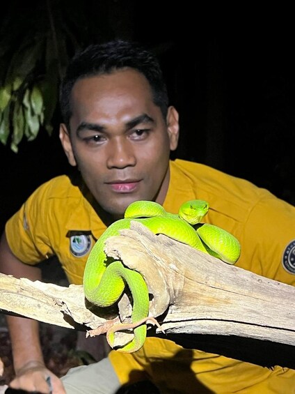 A person in a yellow shirt holding a bright green snake on a branch. 5