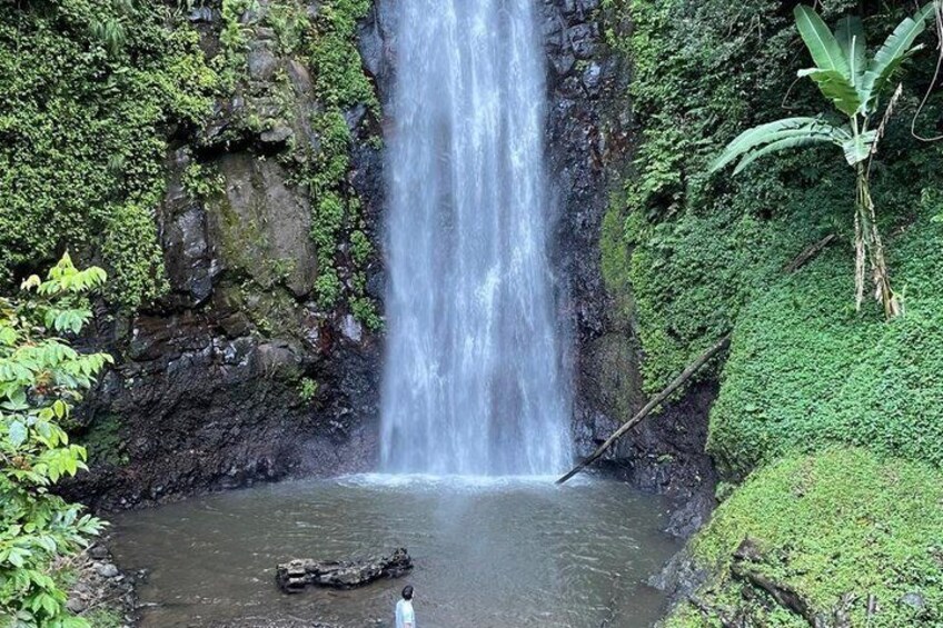 Coffee and Waterfall of São Tomé 2