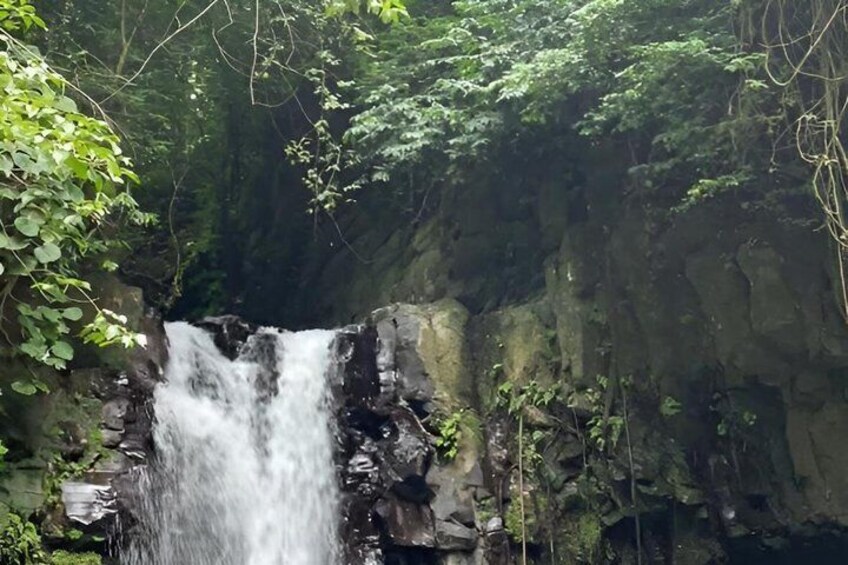 Coffee and Waterfall of São Tomé 1