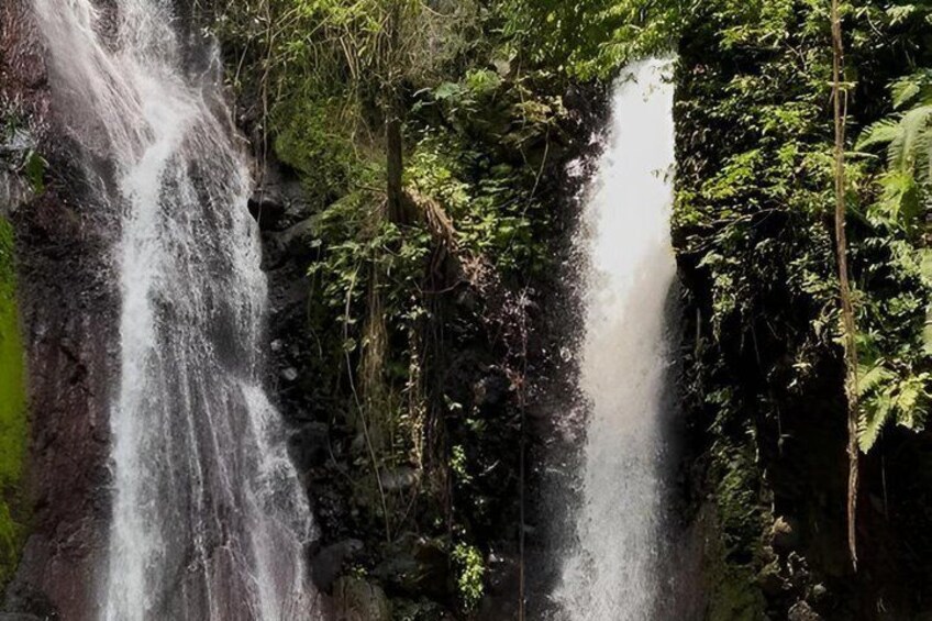 Coffee and Waterfall of São Tomé 3
