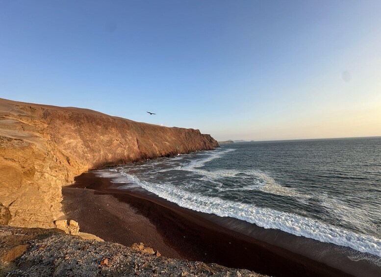 Picture 6 for Activity Paracas: Desert Magic and Hidden Spots 5