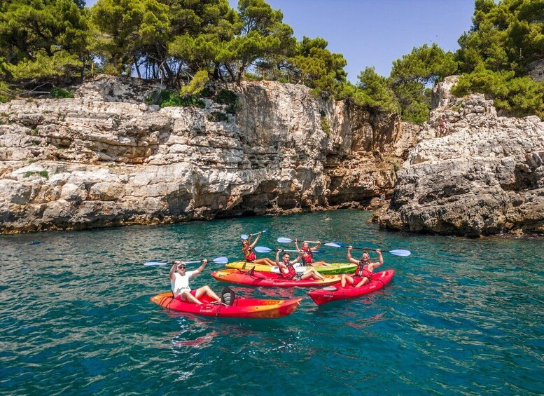 A group of people kayaking on a clear day in a rocky coastal area with pine trees. 4