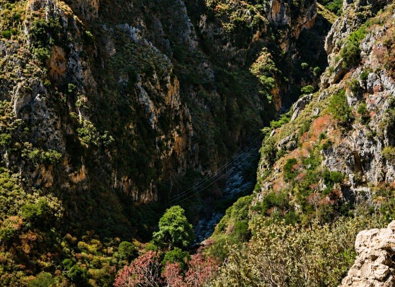 Picture 7 for Activity From Kissamos: Traditional villages & nature tour 4